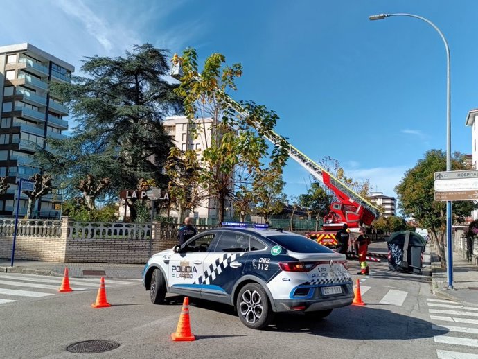 Retirado un nido de avispa asiática construido a 15 metros de altura en un árbol de Laredo