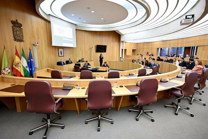 Pleno extraordinario de este lunes en la Diputación de Granada sin los diputados provinciales del PSOE