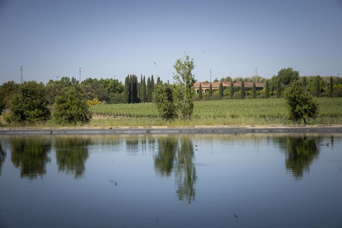 Imagen de la finca Mas La Plana de Familia Torres