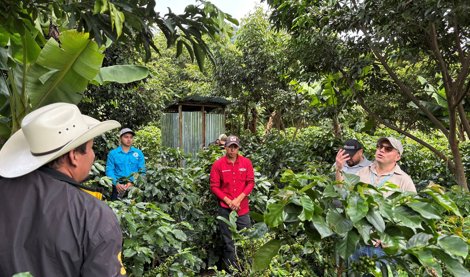 Comunicados Internacional