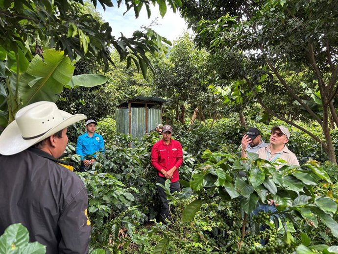 Smallholder farmers from the Lempira region participating in the CSCR Honduras project inspect a field