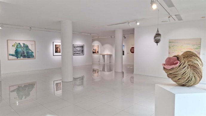 La Diputación de Cáceres abre la convocatoria para proyectos expositivos de la sala de arte El Brocense en 2027