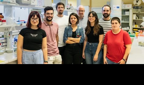 Investigación