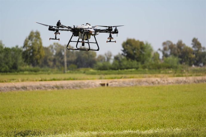 Actuación de la Diputación de Sevilla contra el Virus del Nilo Occidental (VNO)