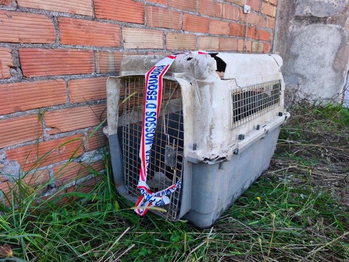 Transportín del animal