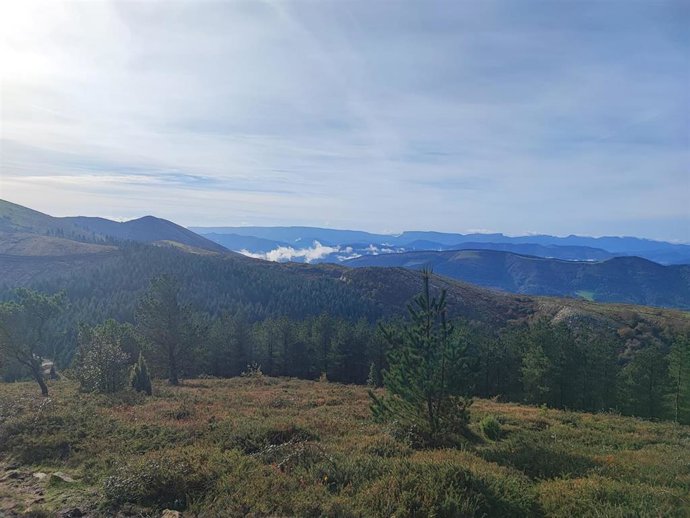 Tiempo primaveral en Euskado