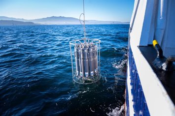 Archivo - Imagen de la investigación.