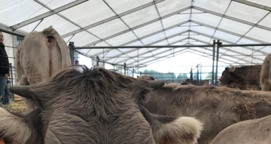 EpAgro - Agricultura