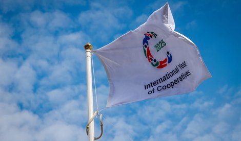 Comunicados Internacional