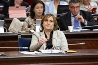 El Govern no se posiciona sobre la proposición de ley de la sociedad civil pero destaca sus 86 órganos participativos