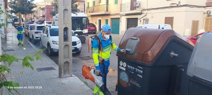 Operarios de Emaya actúan en el marco del programa 'Palma a punt'