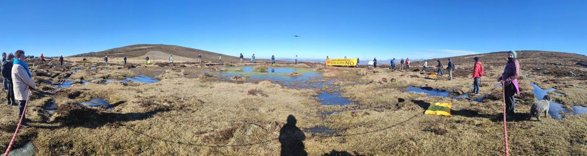 Colectivos Vecinales alertan de la destrucción de flora en peligro de extinción en las obras del polígono de El Escudo