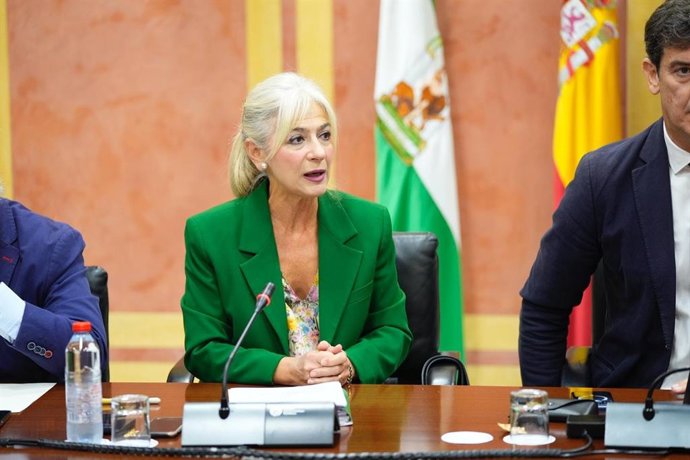 La consejera de Cultura y Deporte, Patricia del Pozo.