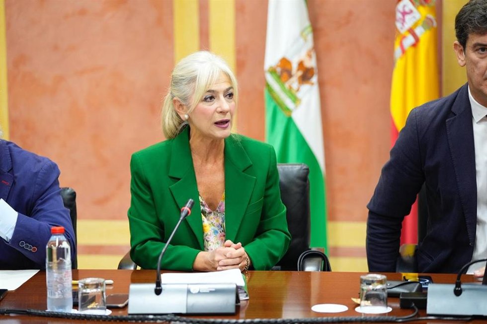 La consejera de Cultura y Deporte, Patricia del Pozo.