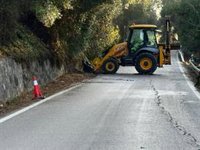 La Junta acomete labores de poda en los márgenes de la A-405 en Cádiz, en su límite con la provincia de Málaga