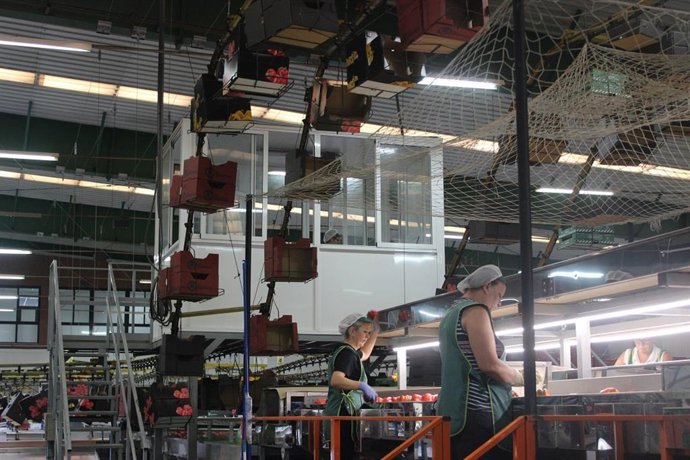 Archivo - Empresa de la industria agroalimentaria en Andalucía. (Foto de archivo).