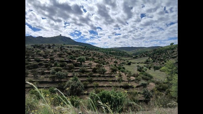 Archivo - Finalizan los trabajos de prevención de incendios en Cap de Creus (Girona)