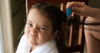 notibrasil sociedade