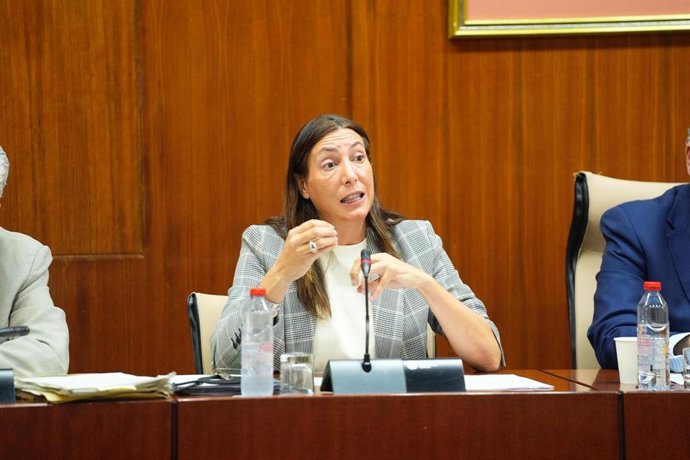 La consejera de Inclusión Social, Juventud, Familias e Igualdad, Loles López, ha destacado en comisión parlamentaria que el presupuesto andaluz de 2026 destinado al sistema de dependencia asciende a 2.610,6 millones de euros.