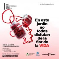 Maratón de donación de sangre este miércoles 5 de noviembre en la Fundación Cajasol de Sevilla