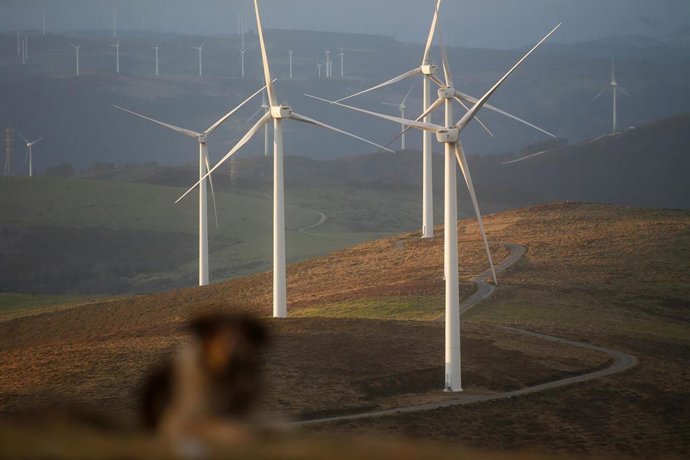 Archivo - Un parque eólico, a 28 de marzo de 2025, en Muras, Lugo, Galicia.