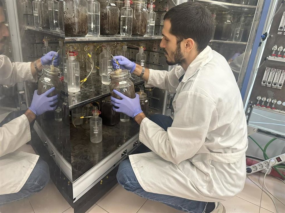 Investigador de Aimplas