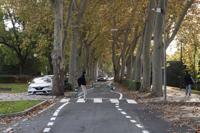 Nueva ciclocalle que atraviesa el campus de la Universidad de Navarra.