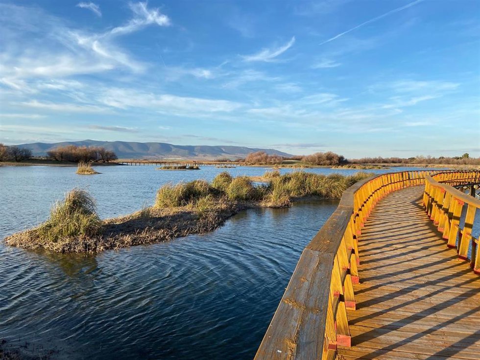 Archivo - Tablas de Daimiel