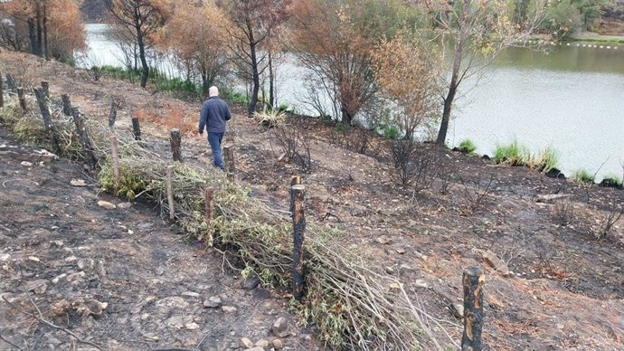 Trabajos de la CHD en la provincia de Zamora para proteger los cauces de los ríos de los sedimentos y las cenizas de los incendios de este verano.