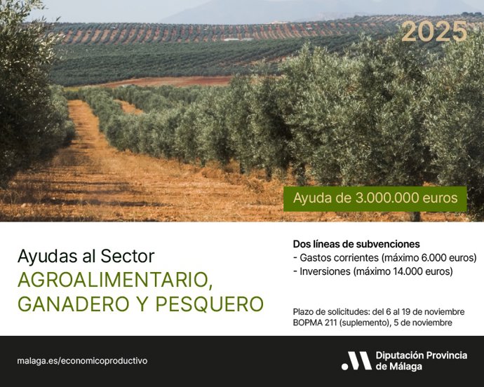 Imagen promocional de las ayudas: El plazo de presentación de solicitudes es de diez días hábiles a contar desde las 9.00 horas de este jueves 6 de noviembre.