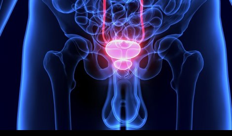 notibrasil sociedade