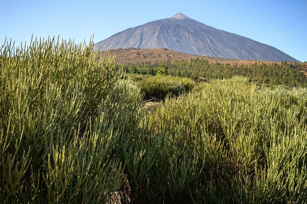 Archivo - El Teide (Tenerife)