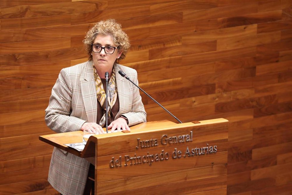 La diputada del PP de Asturias Gloria García durante su intervención hoy en la Junta General.