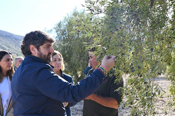 El presidente de la Comunidad, Fernando López Miras, visita en Jumilla una finca de olivos de secano