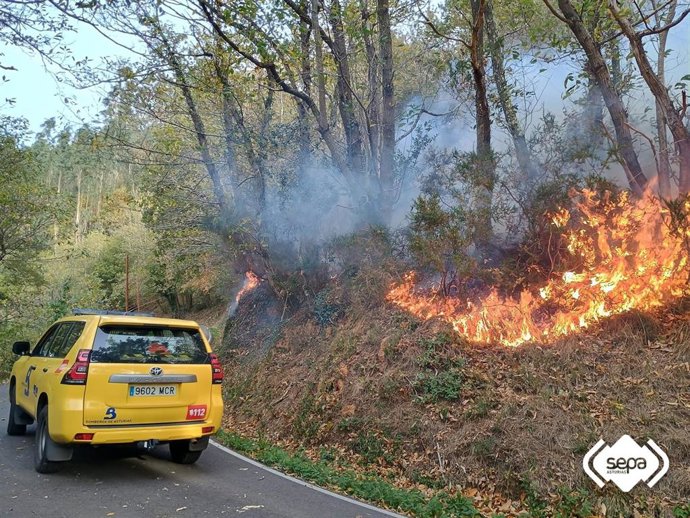 Bomberos del SEPA trabajan en la extinción de un Incendio forestal en Asturias.
