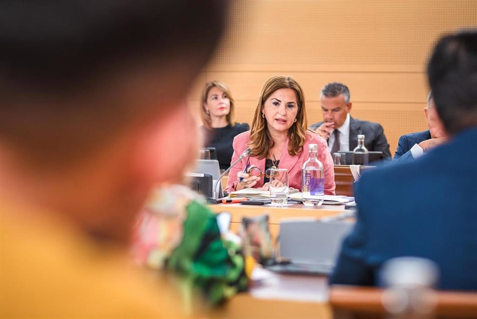 Archivo - La consejera de Acción Social del Cabildo de Tenerife y responsable del IASS, Águeda Fumero