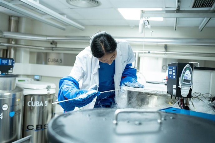 Archivo - Una mujer trabaja en la sala de criopreservación de células el Hospital de Barcelona