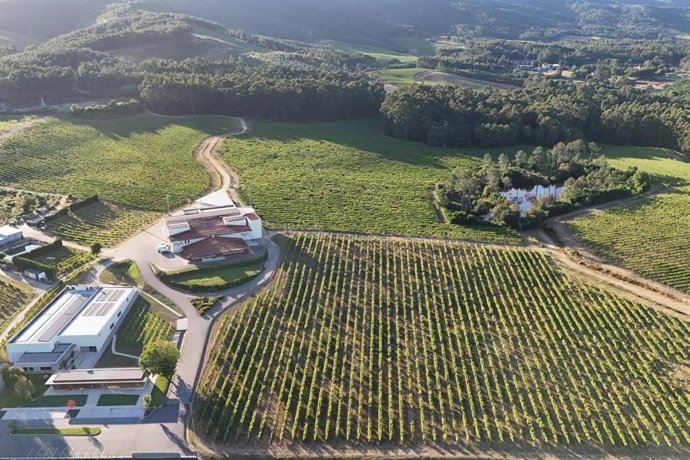 Difersa & Primavinia S.A. y Bodegas Terras Gauda S.A. firman un acuerdo de distribución exclusiva en Pontevedra