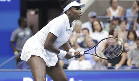 Tenis