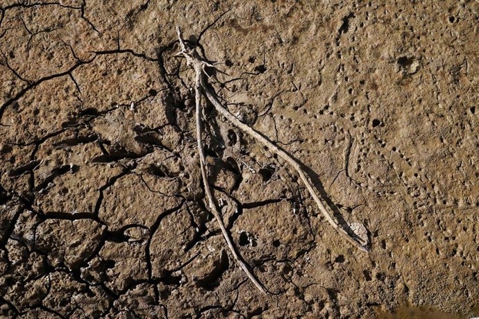 Archivo - Los restos del antiguo pueblo de Peñarubia han quedado al descubierto por la ausencia de agua en el embalse de Guadalteba a causa de la extrema sequía , a 3 de febrero de 2024 en Málaga, Andalucía, (España). 