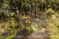 Ecologistas denuncian que el Plan Nacional de Restauración encalla por la "opacidad" del Gobierno y el "bloqueo" de CCAA