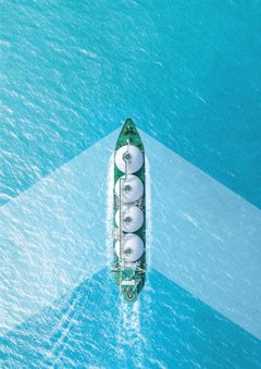 Comunicados Internacional