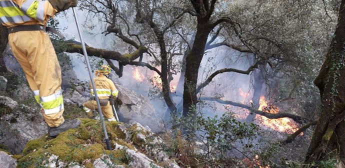 Archivo - Efectivos del Gobierno de Cantabria controlan un incendio forestal. Imagen de archivo