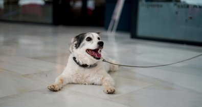 Comunicados Empresas