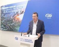 González (PP) dice que declaraciones de concejal de Hinojos (Huelva) "se sacaron de contexto" y "no comparte" a Romero