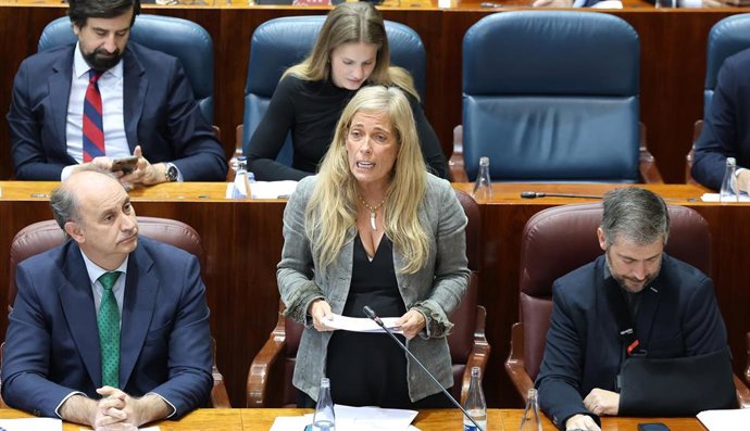 La consejera de Economía, Hacienda y Empleo de la Comunidad de Madrid, Rocío Albert, interviene durante una sesión plenaria en la Asamblea de Madrid.