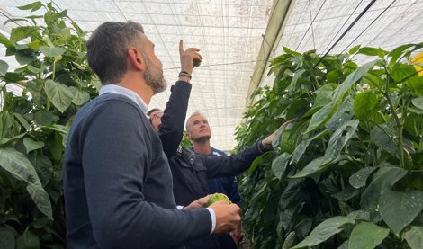 Es Andalucía - Sevilla