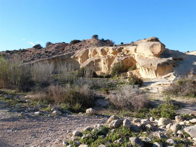 Vídeo de la noticia