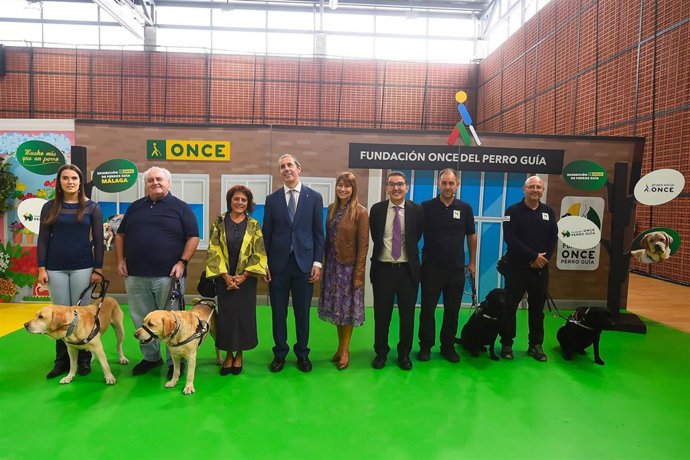 La Fundación ONCE del Perro Guía (FOPG) ha realizado una exhibición en la que mostró a la ciudadanía cómo se trabaja con estos animales para que lleguen a ser uno de los elementos fundamentales de la autonomía y seguridad de las personas ciegas.
