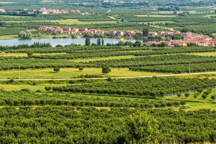 Teletrabajo y nueva movilidad; el campo gana talento